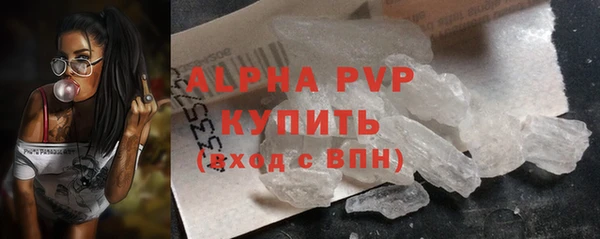 стаф Абинск