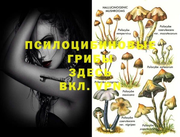 ПСИЛОЦИБИНОВЫЕ ГРИБЫ Абдулино