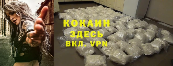 стаф Абинск