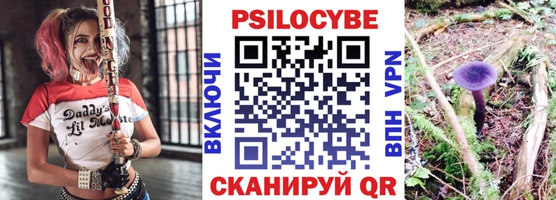 закладки  Новотроицк  Псилоцибиновые грибы Magic Shrooms 